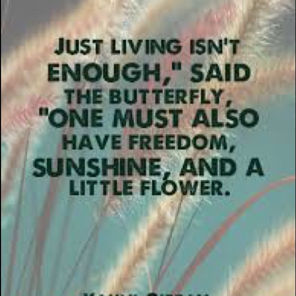 Meet your Posher, Cate - Picture 3 of 3